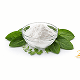 Alpha-Lipoic Acid